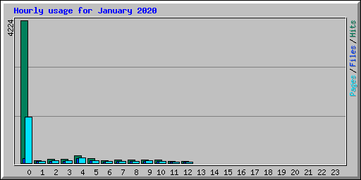 Hourly usage for January 2020